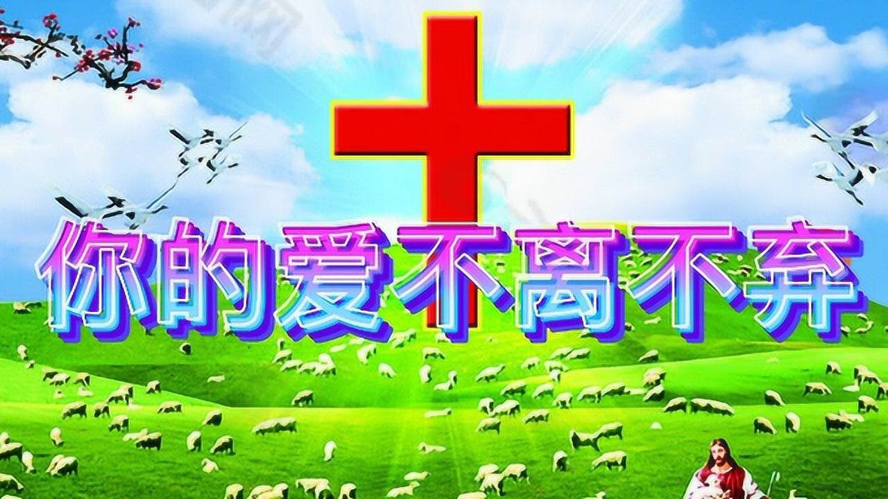 你的爱不离不弃