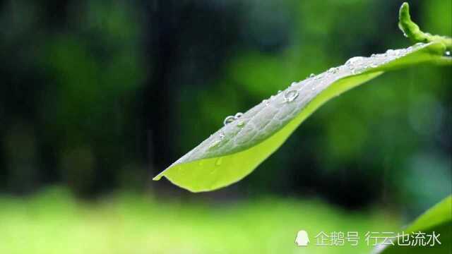 春天来了——春雨