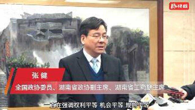 两会湘声丨张健:为民营经济营造更好的发展环境