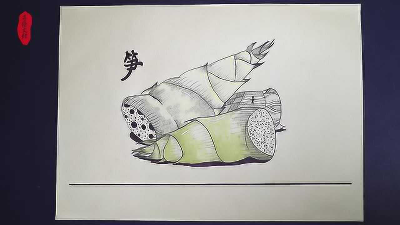 线描写生--中级:笋