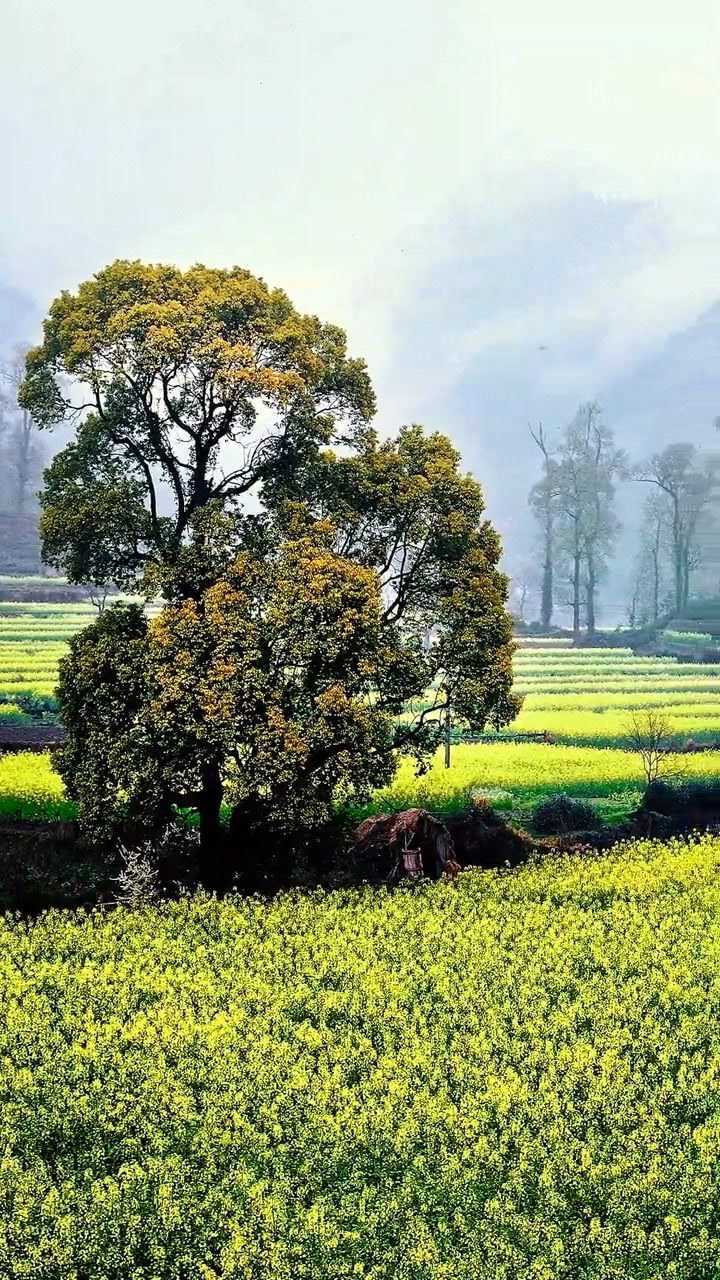 一方一净土,一笑一尘缘.三千世界,心若清净,无处不是净土.