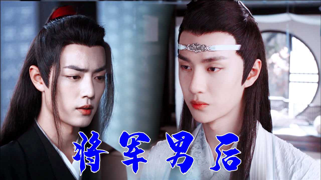 剧版忘羡:将军男后(15)