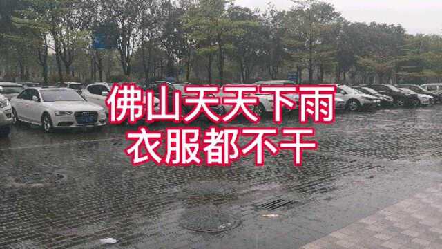 佛山顺德乐从有个即将首次开盘的新楼盘,现在可以认筹啦,手快有