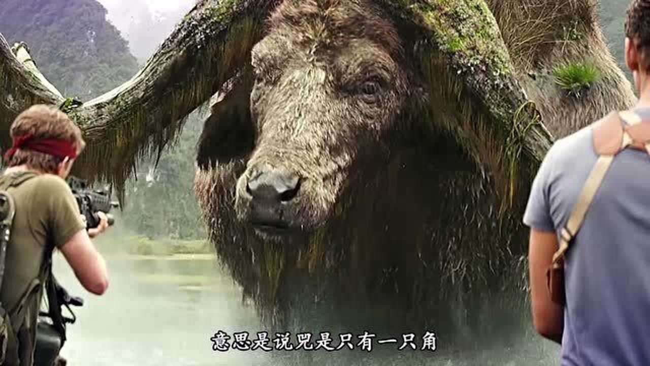 没想到太上老君的坐骑是上古神兽兕你看看和犀牛精有何区别