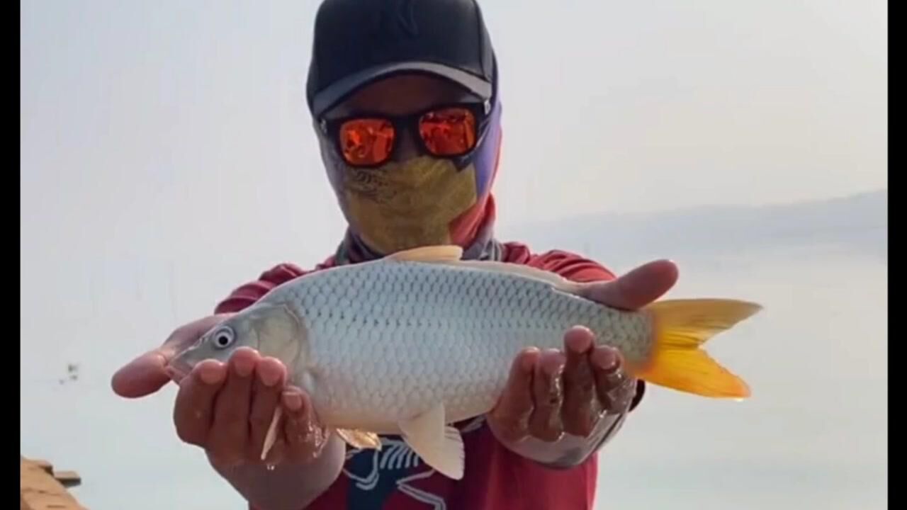 久雨初钓大明湖,这样的鲫鱼你们喜欢吗? #徐亮钓鱼 #野钓鲫鱼