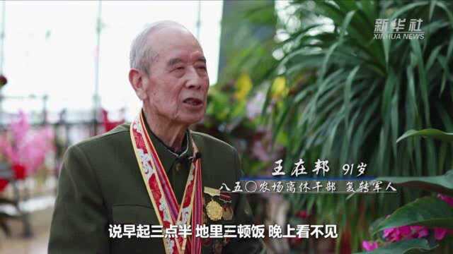 奋斗百年路 启航新征程| 是谁,唤醒沉睡千年的黑土地——十万官兵决战北大荒