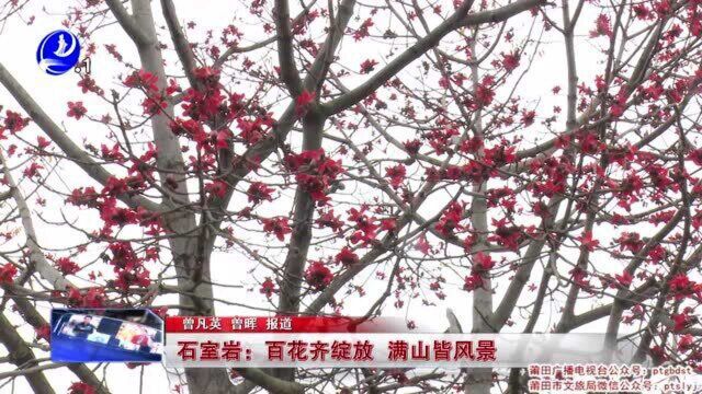 莆田石室岩:百花齐绽放 满山皆风景