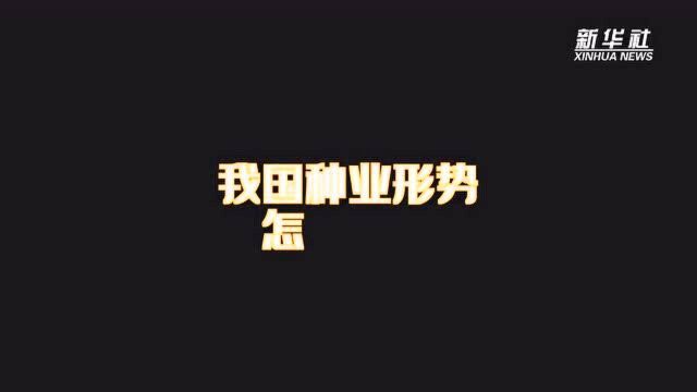 从重点品种、核心技术到关键主体,“2021中国种子大会”聚焦种业“破卡”