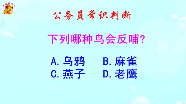 公务员常识判断,下列哪种鸟会反哺?难倒了学霸