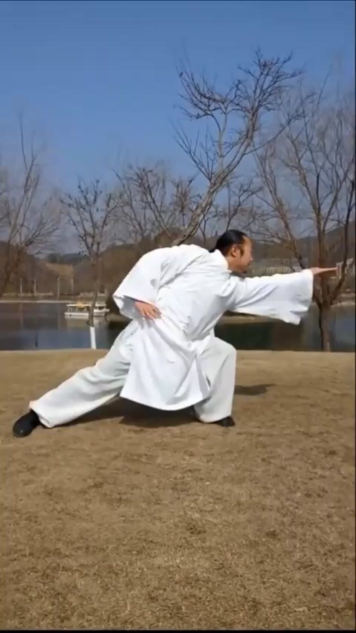 武当太乙逍遥掌第二段,武当拳精华,庄子北冥神功基础!