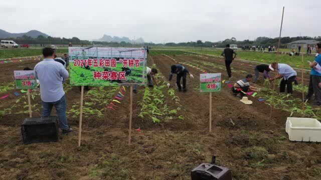 田园春歌——五彩田园开耕节