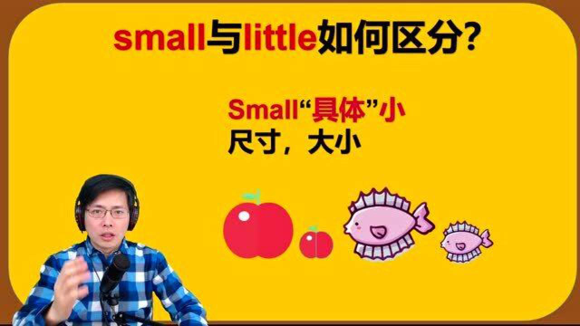 英语单词small与little如何区分听山姆老师精准讲解一次听懂