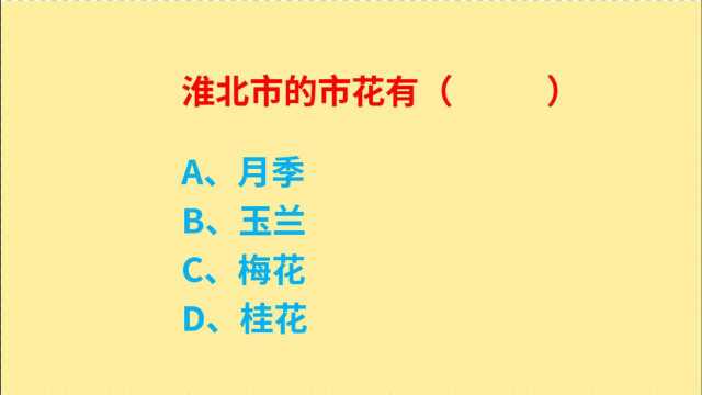 公务员考试,安徽省淮北市的市花是什么