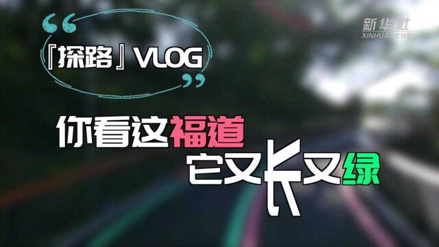 “探路”Vlog:你看这福道,它又长又绿