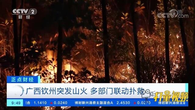 广西钦州突发山火,多部门联动扑救