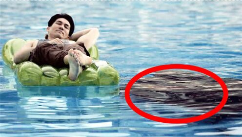 小伙在泳池中睡觉，醒来发现水里有3米长大鳄鱼，这下完了！