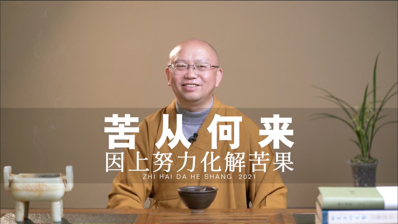 【智海大和尚】苦从何来?