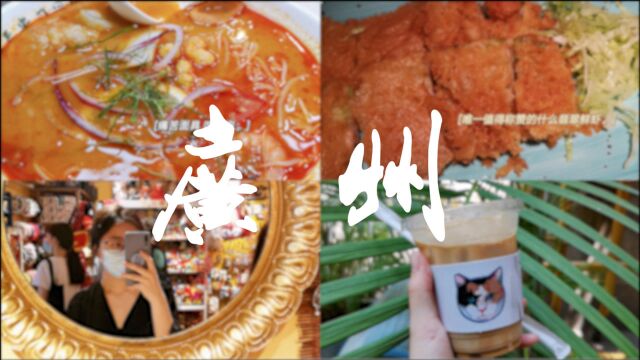 【燥躁】广州vlog|北京路|旺角冰室|巧美面食|长隆|陶陶居|百花甜品|东山口|致德炸蛋|星芝|澳泰美食|sigma咖啡