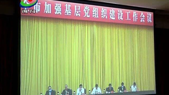 潮阳区组织收看市加强基层党组织建设工作会议