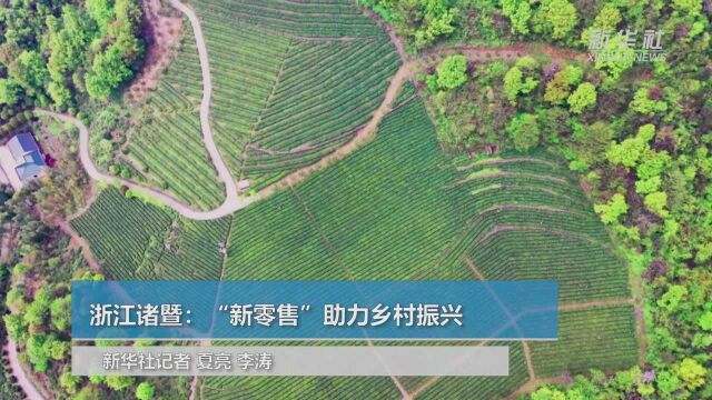 浙江诸暨:“新零售”助力乡村振兴