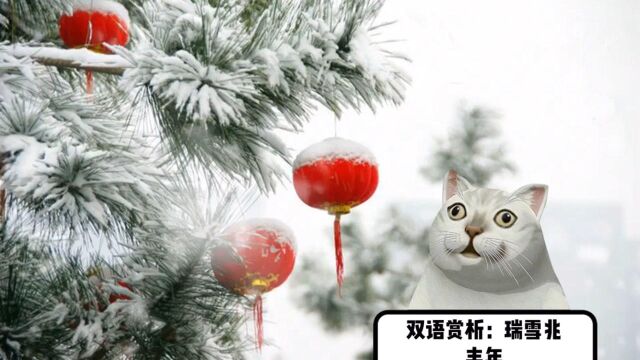 英汉双语赏析:瑞雪兆丰年