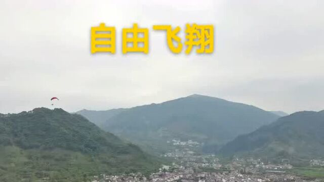 #热点速看#西天目山的风景