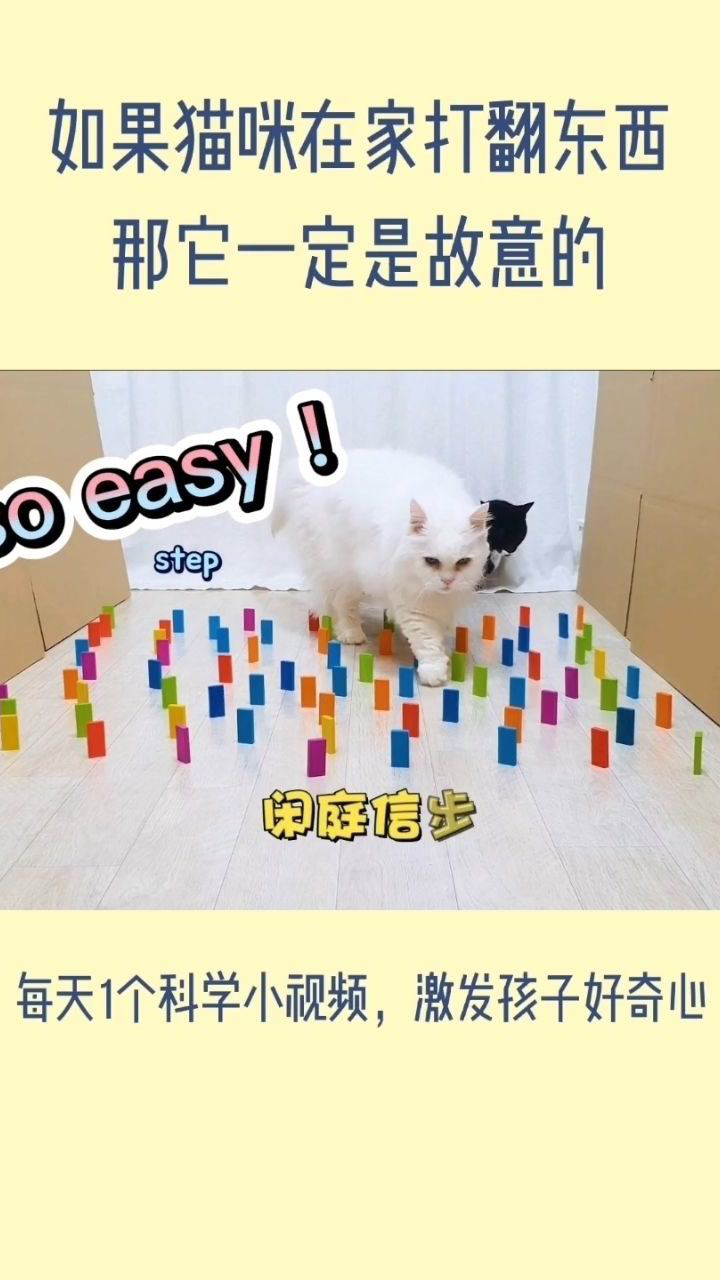 如果猫咪在家打翻东西,那它一定是故意的_高清1080P在线观看平台_腾讯视频