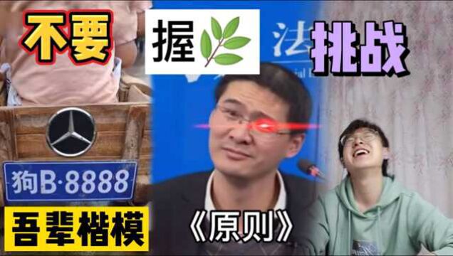 「不要握草挑战」吾辈楷模,宿舍孵小鸡,鸡蛋返生论文…