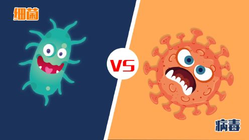 深度：细菌与病毒的区别在哪，谁对人类的威胁更大？