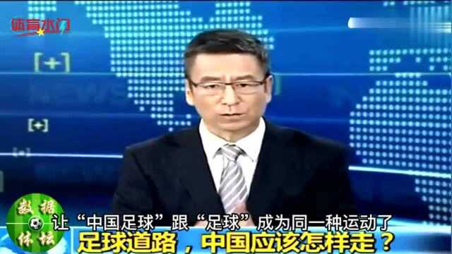 白岩松中国足球语录大全失败是成功之母,中国足球妈妈太多了!