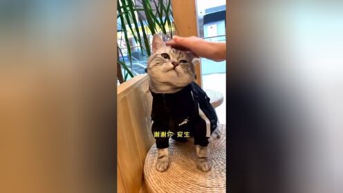 泡芙和安生的关系好像缓和了那么一丢丢,太难了!