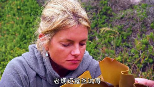 荒野求生夫妻:被困海岛,摘浆果,抓海鲜,做自助餐#荒野求生