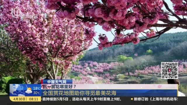 五一赏花哪里好? 全国赏花地图助你寻觅最美花海