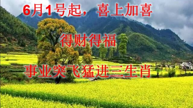 6月1号起,喜上加喜,得财得福,事业突飞猛进三生肖