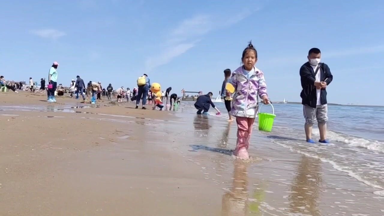天津滨海新区东疆湾沙滩捡贝壳，一起来赶海_高清