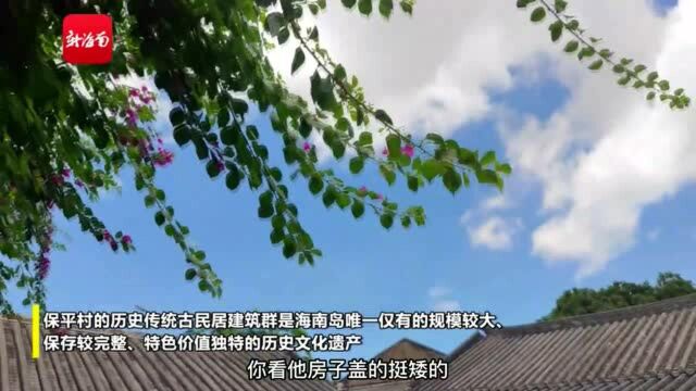 海南日记 | 文学名家前往三亚市崖州区保平村探古代凝固艺术