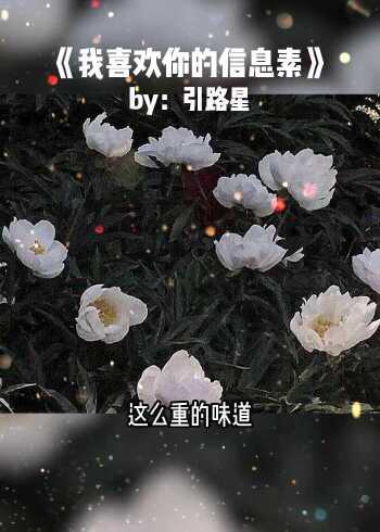 青柠和小苍兰不一定绝配但他们两个人一定绝配