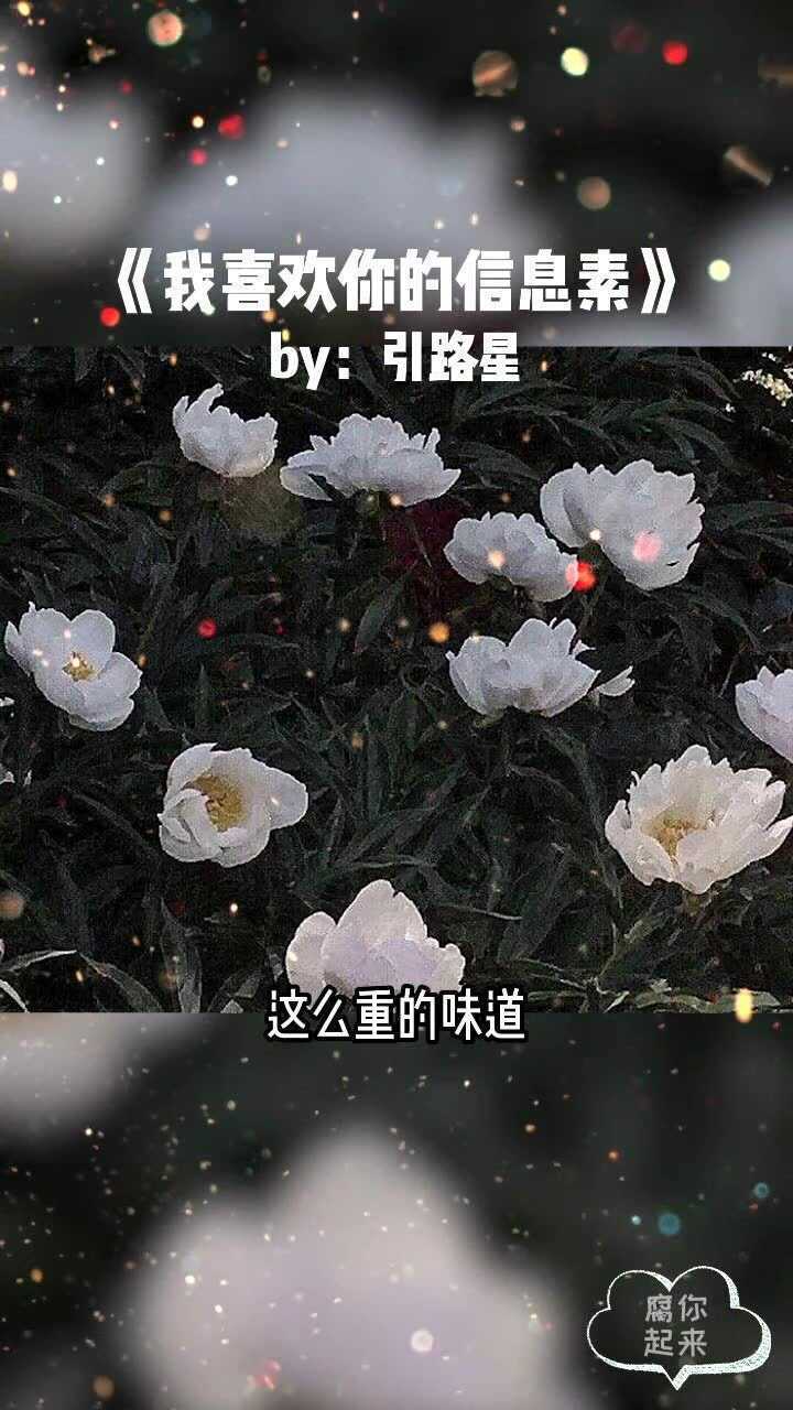 青柠和小苍兰不一定绝配但他们两个人一定绝配