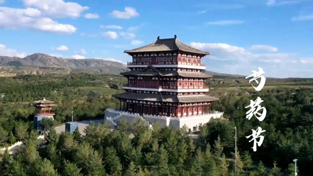 和林格尔县芍药节