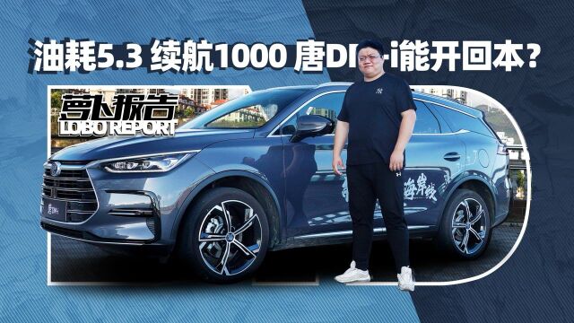 油耗5.3 续航1000 唐DMi能开回本?| 萝卜报告