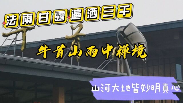 南京牛首山雨中禅境,法雨甘露遍洒三千界,山河大地皆妙明真心物