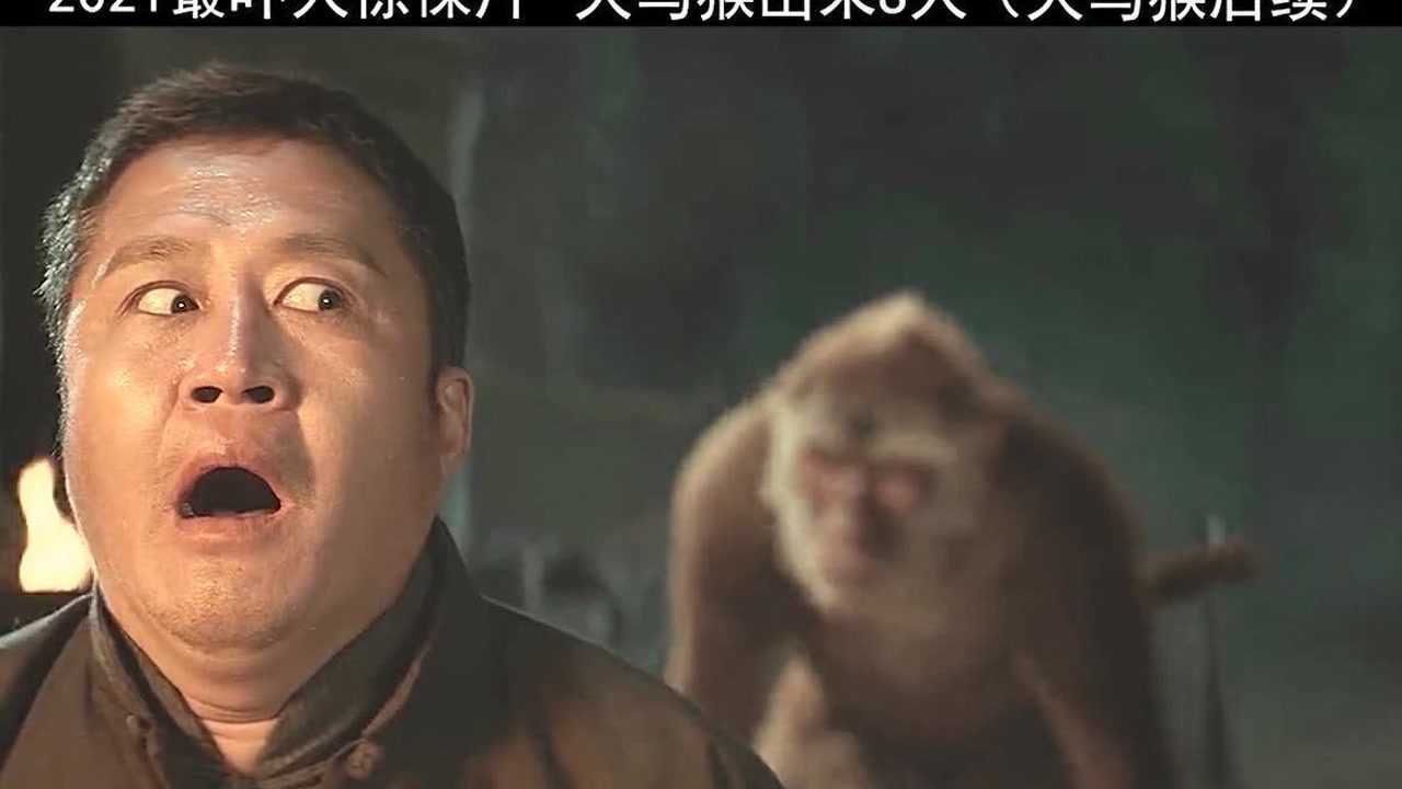 大马猴完整后续:大马猴还吃r!真相来了.