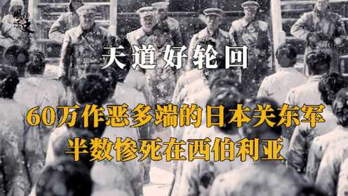 60万日本关东军被苏军俘虏，10年后，仅一半回到了日本