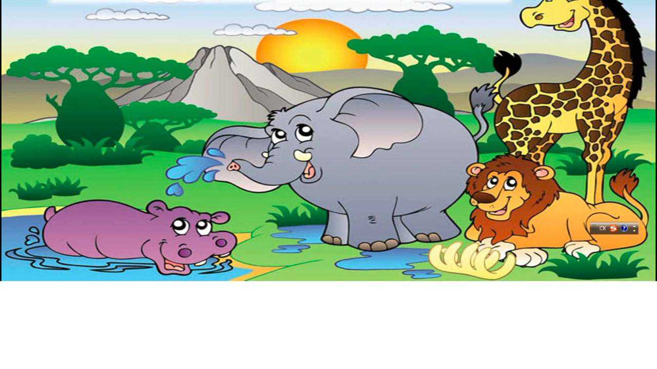 动物王国开大会