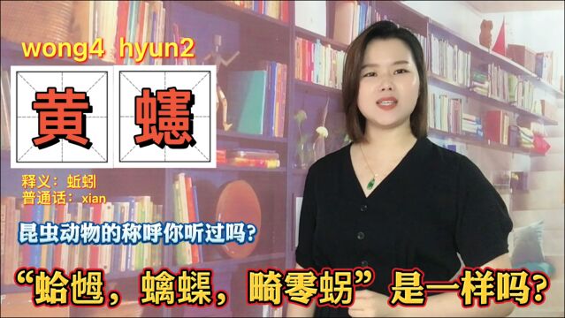 壁虎,蚯蚓,蚊子,蜻蜓的粤语怎么说?广东话叫法,你听过吗