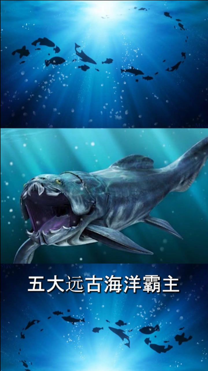 五大远古海洋霸主其中有你知道的吗