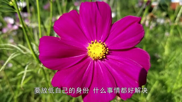 [希望之路1]字幕版—悟光法师开示