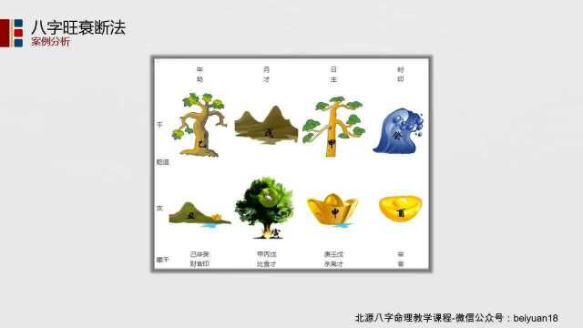 八字旺衰断法综合案例分析,旺衰断法讲解