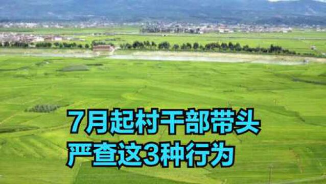 7月起,村干部带头挨家挨户严查这3种行为,建议农民提前自检!