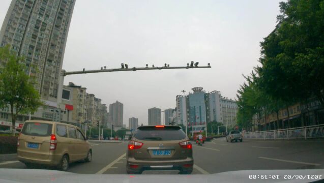 实景记录潼南风景 有你熟悉的街道 (14)